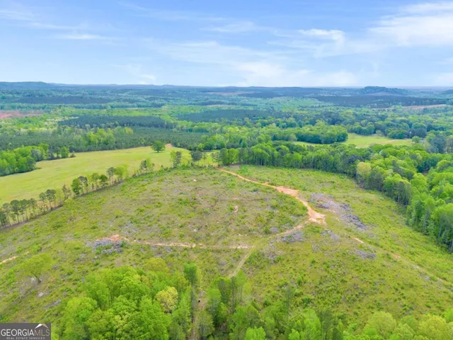 a view of a lush green space with sea