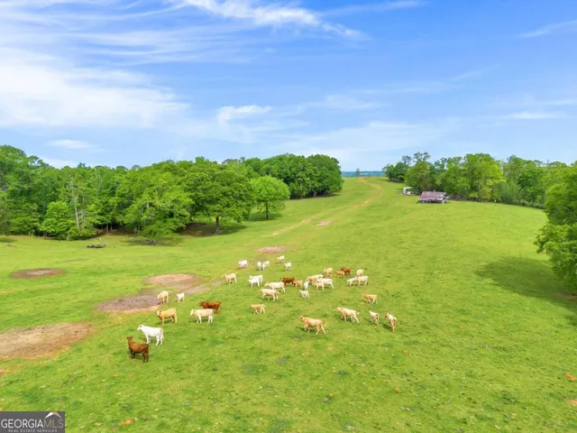 a view of outdoor space and garden