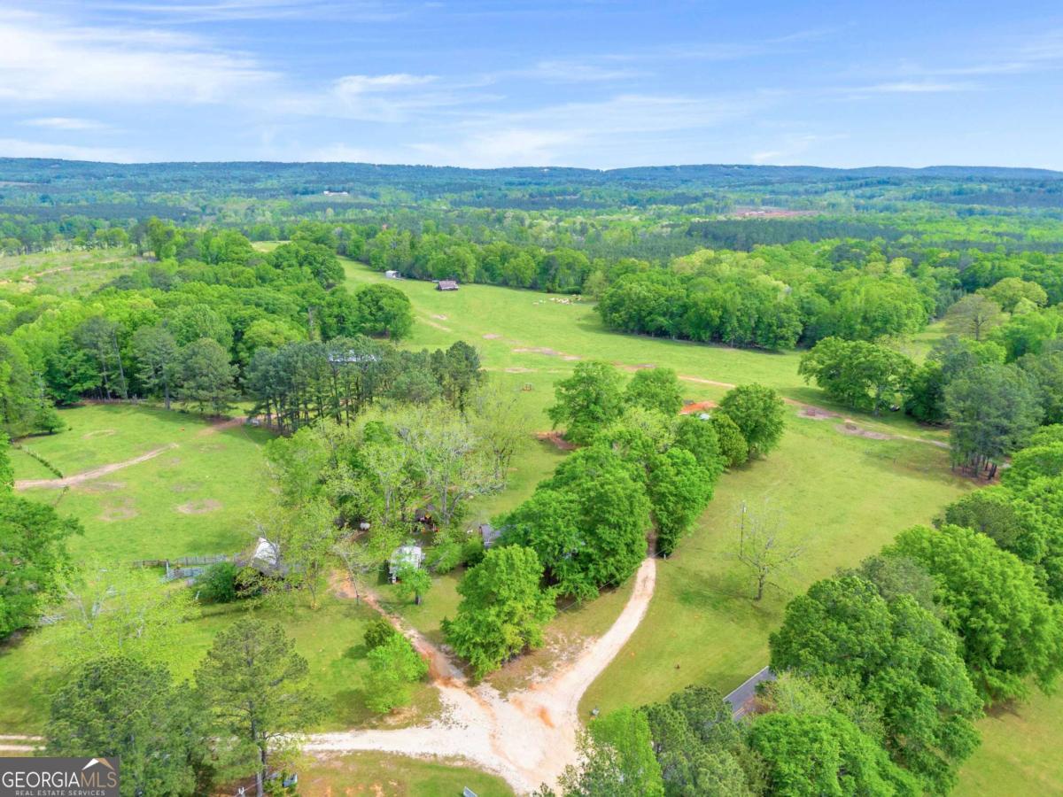 2450 Chestnut Grove Road, Unit 2 Shiloh, GA 31826 - Photo 49 of 59 a view of a lush green outdoor space with a lake view
