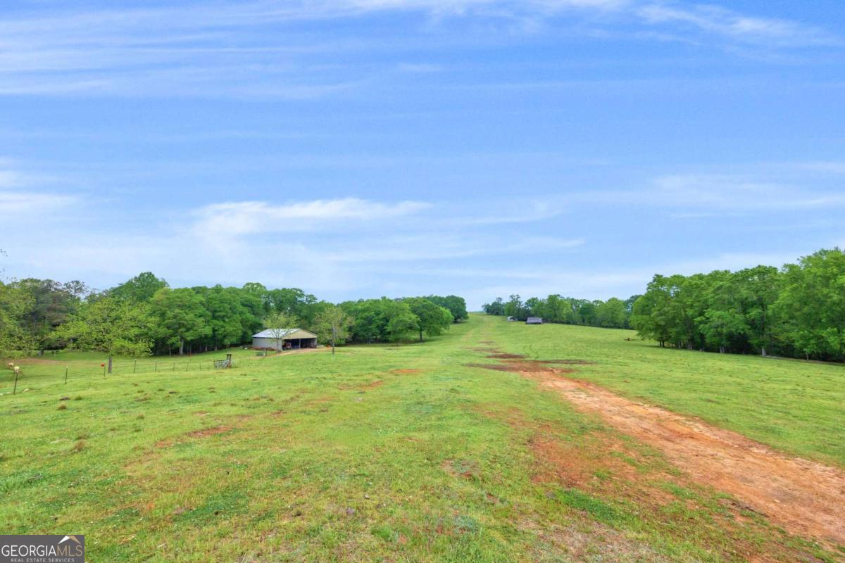 2450 Chestnut Grove Road, Unit 2 Shiloh, GA 31826 - Photo 5 of 59 a view of a field with an ocean view