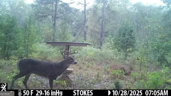 $2,102,730 | 2450 Chestnut Grove Road, Unit 2, Shiloh, GA 31826