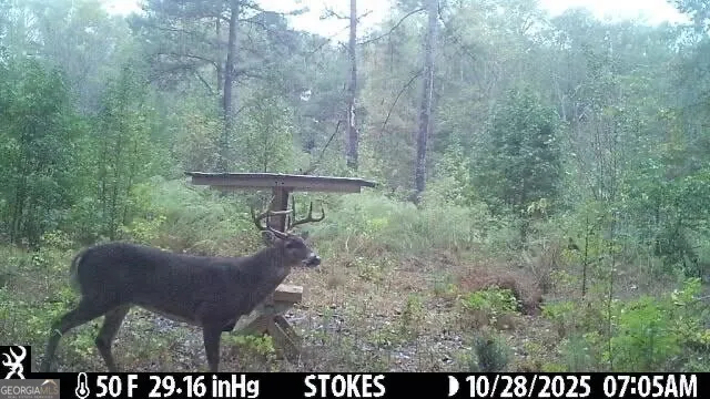 $2,102,730 | 2450 Chestnut Grove Road, Unit 2, Shiloh, GA 31826