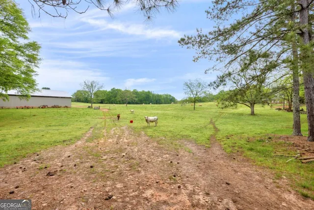 a view of outdoor space and garden
