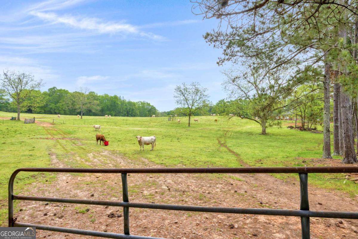 2450 Chestnut Grove Road, Unit 2 Shiloh, GA 31826 - Photo 10 of 59 a view of a park with an outdoor space