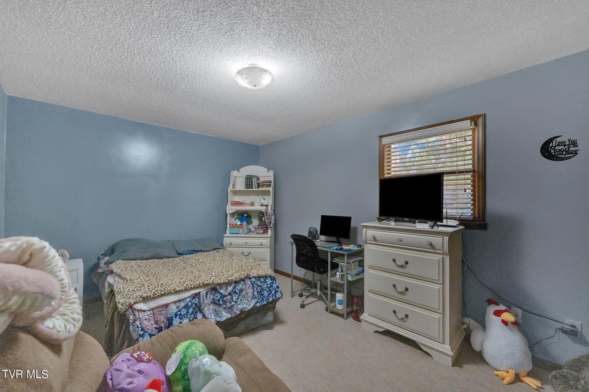225 Huckleberry Road, Unit 5 Bluff City, TN 37618 - Photo 19 of 34 9-web-or-mls-DSC01801