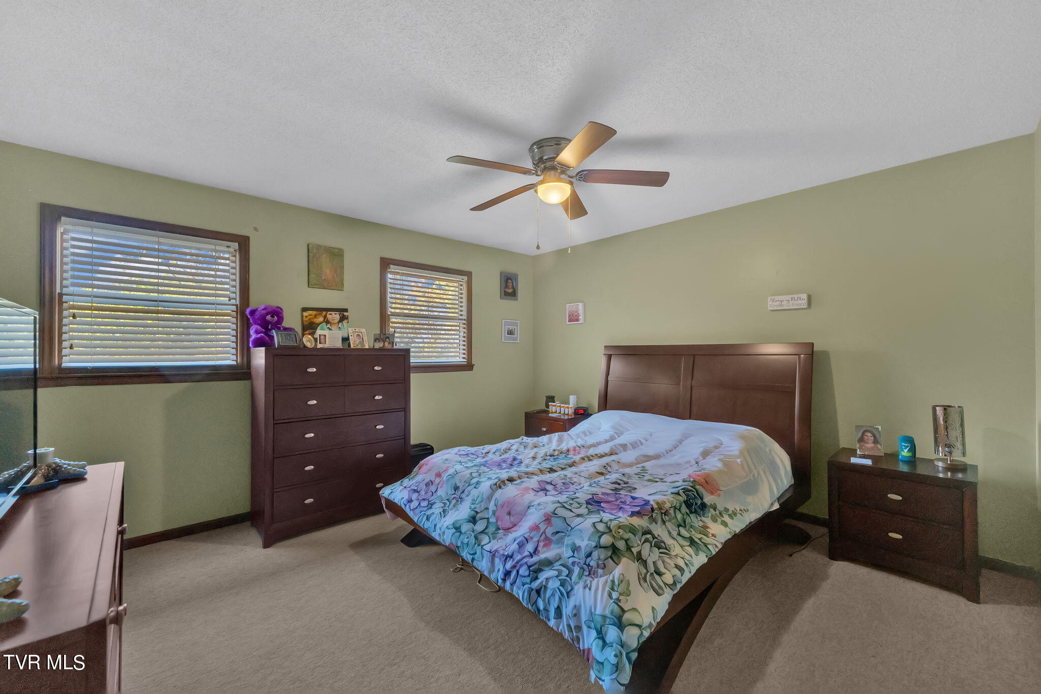 225 Huckleberry Road, Unit 5 Bluff City, TN 37618 - Photo 23 of 34 13-web-or-mls-DSC01819