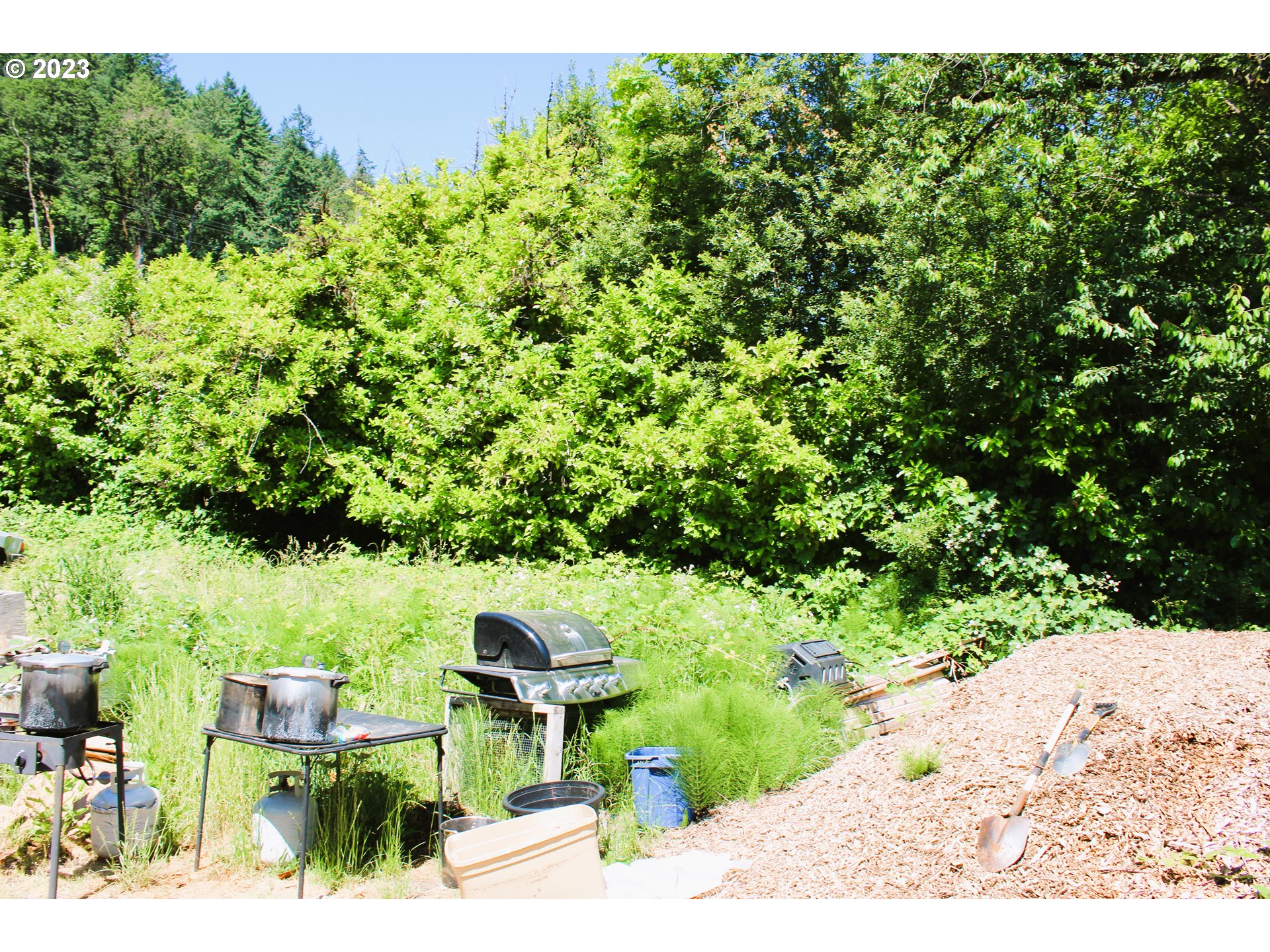 11668 Northwest St Helens Road Portland, OR 97231 - Photo 5 of 28