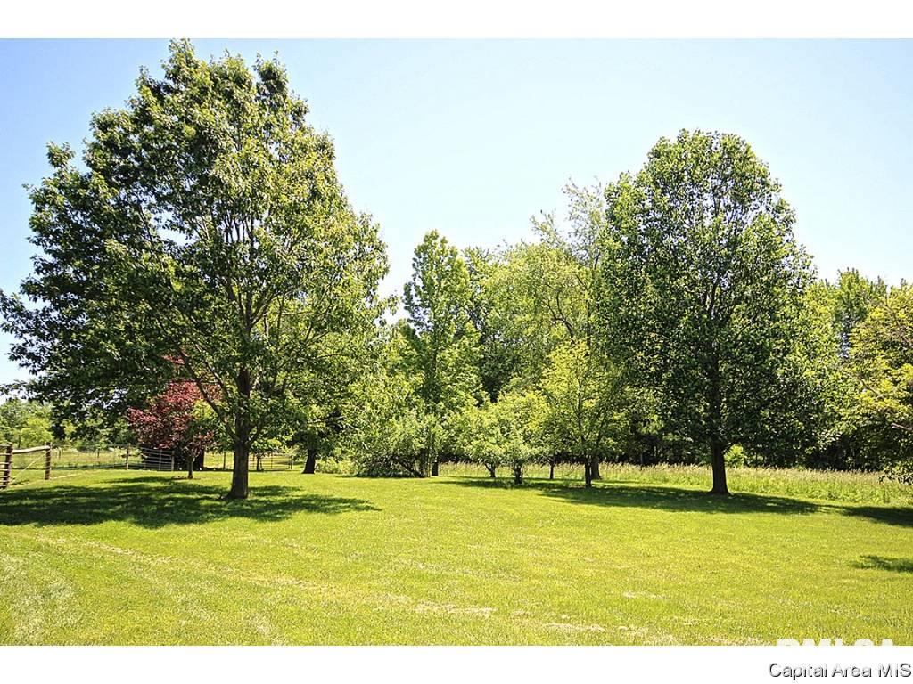 10220 North Pawnee Road Pawnee, IL 62558 - Photo 33 of 35
