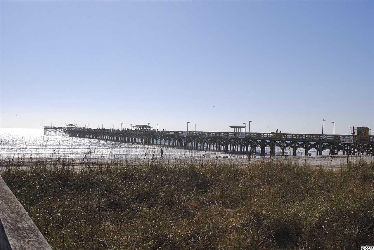 156 Cypress Tree Loop Longs, SC 29568 - Photo 16 of 34 Gallery Image 16