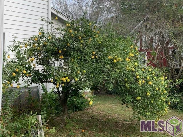 3650 Perkins Road Baton Rouge, LA 70808 - Photo 22 of 23