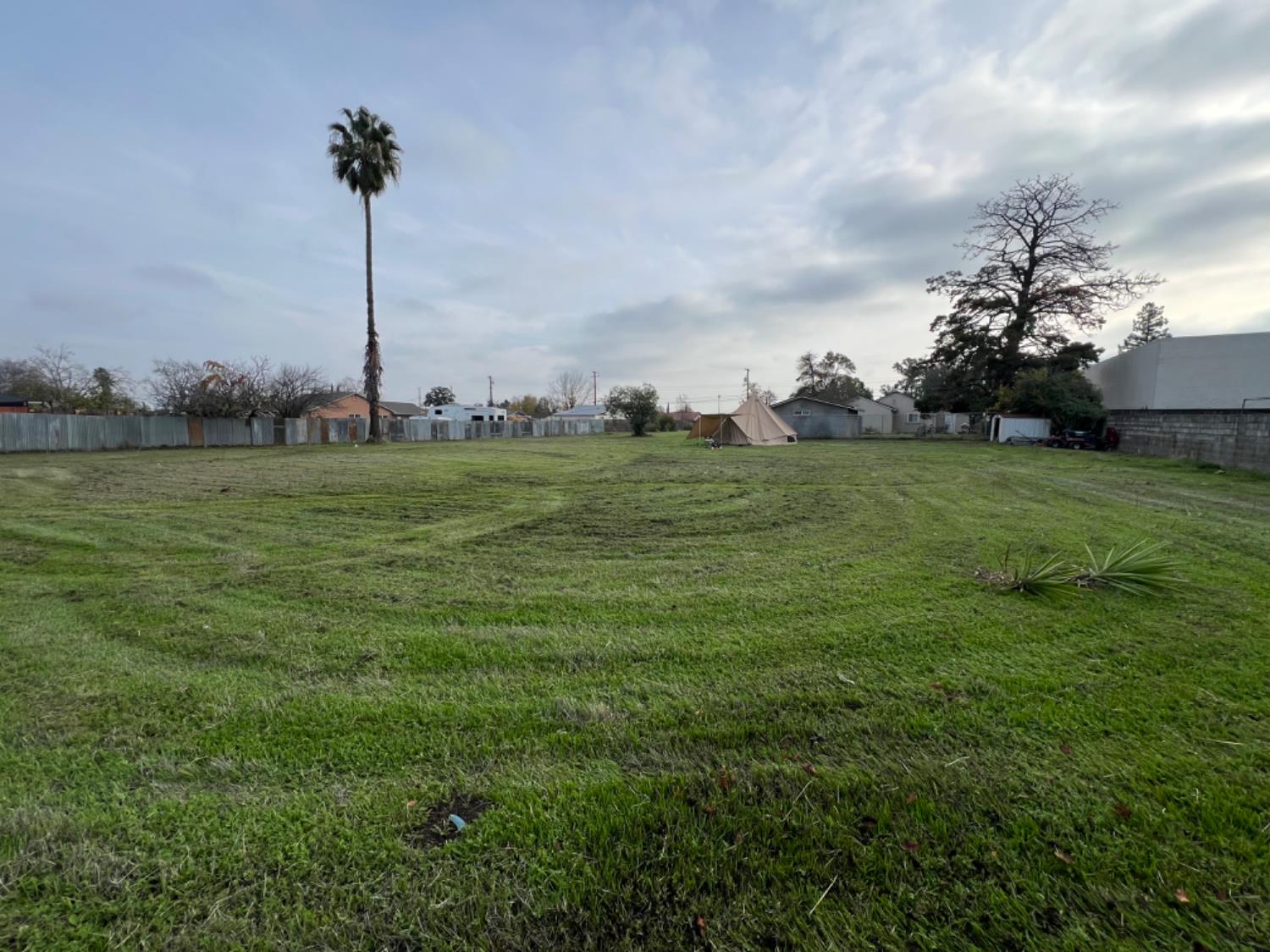 517 Rimmer Avenue Sacramento, CA 95834 - Photo 4 of 20 a view of a grassy field with an tree