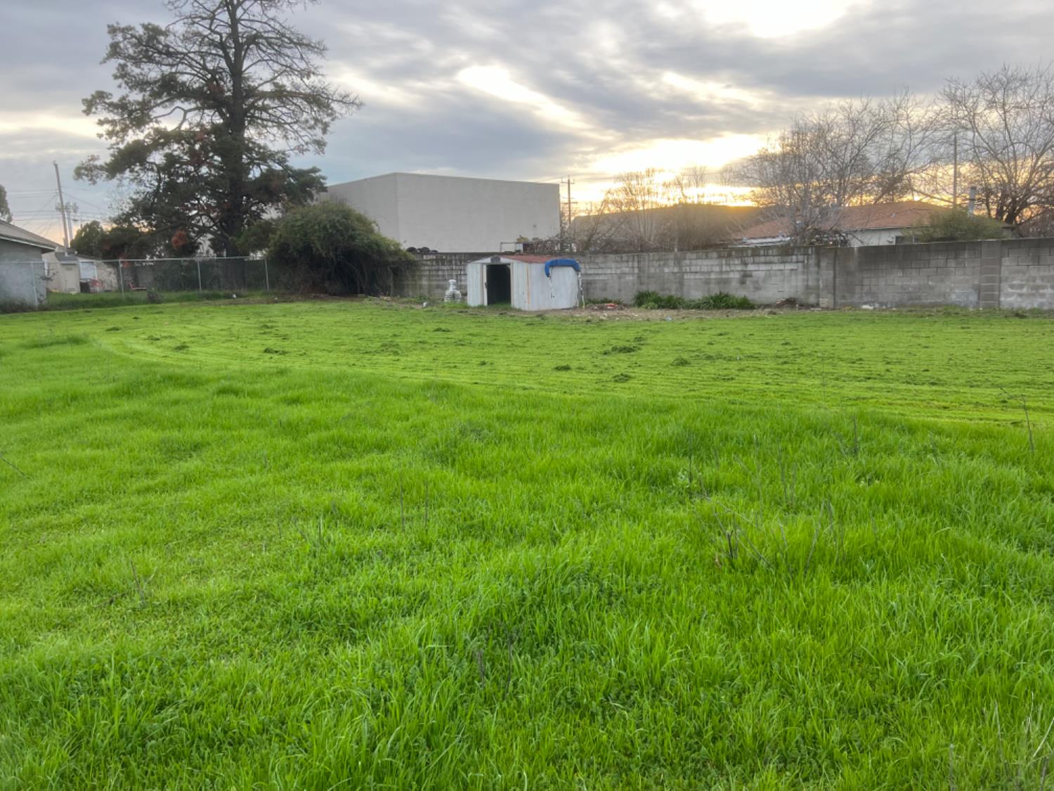 517 Rimmer Avenue Sacramento, CA 95834 - Photo 7 of 20 a view of a garden