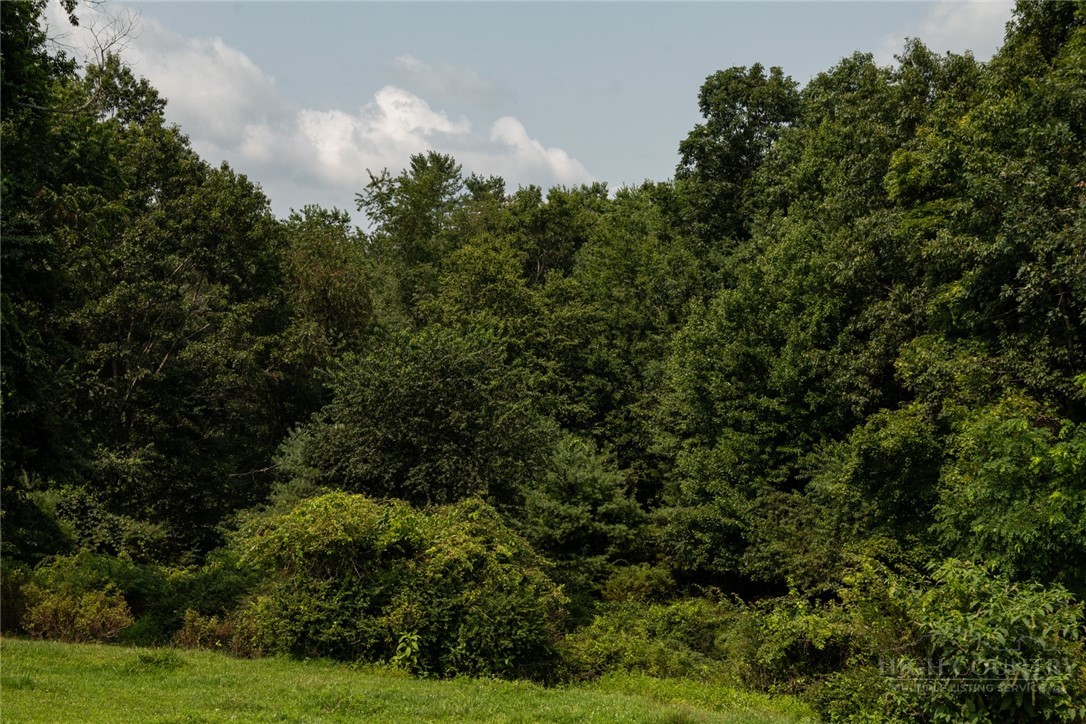 Caudill Road Glade Valley, NC 28627 - Photo 14 of 19 Gallery Image 14