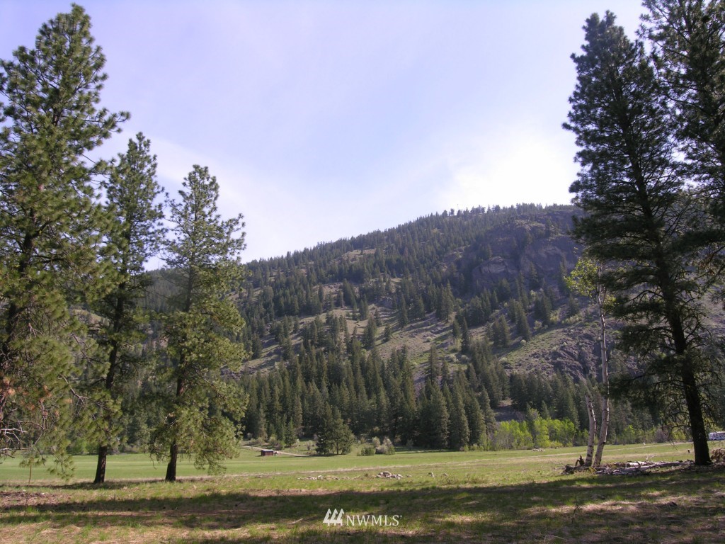 3 Chechaquo Ranch Mazama, WA 98833 - Photo 1 of 3 Gallery Image 1
