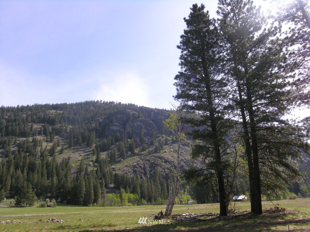 3 Chechaquo Ranch Mazama, WA 98833 - Photo 2 of 3 Gallery Image 2