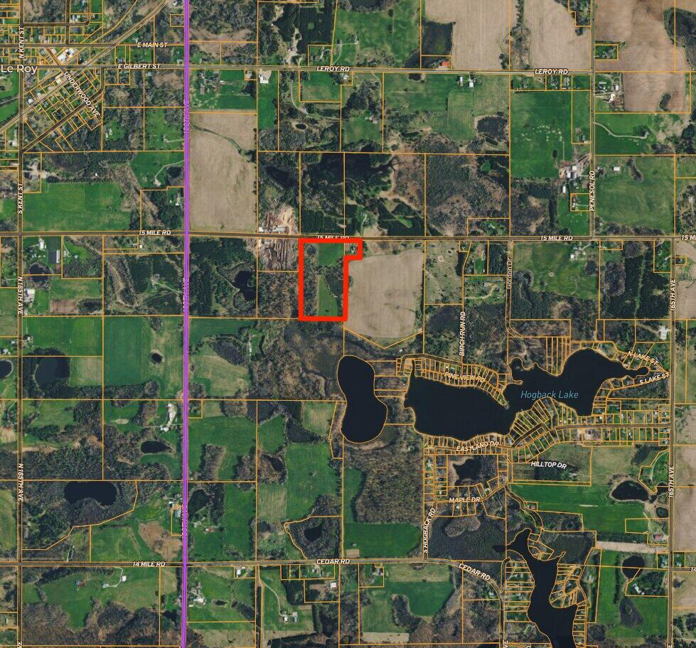 17463 Sunrise Lake Road Leroy, MI 49655 - Photo 62 of 62 ZZAerial Far - Zook