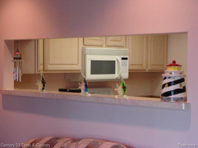 122 Kenyon Road, Unit 33 Algonac, MI 48001 - Photo 5 of 9 Kitchen pass-through