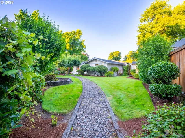 a view of a yard with plants and a large tree