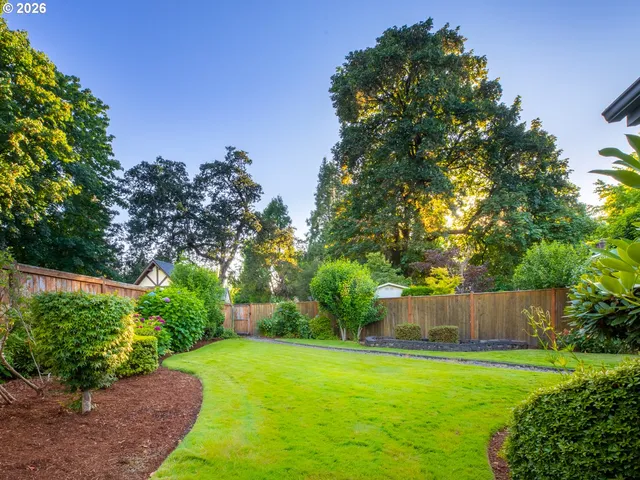 a view of a back yard