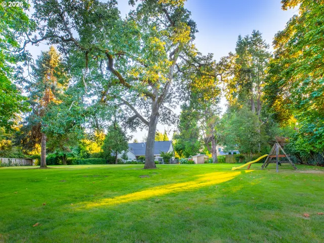 a view of a park with large trees