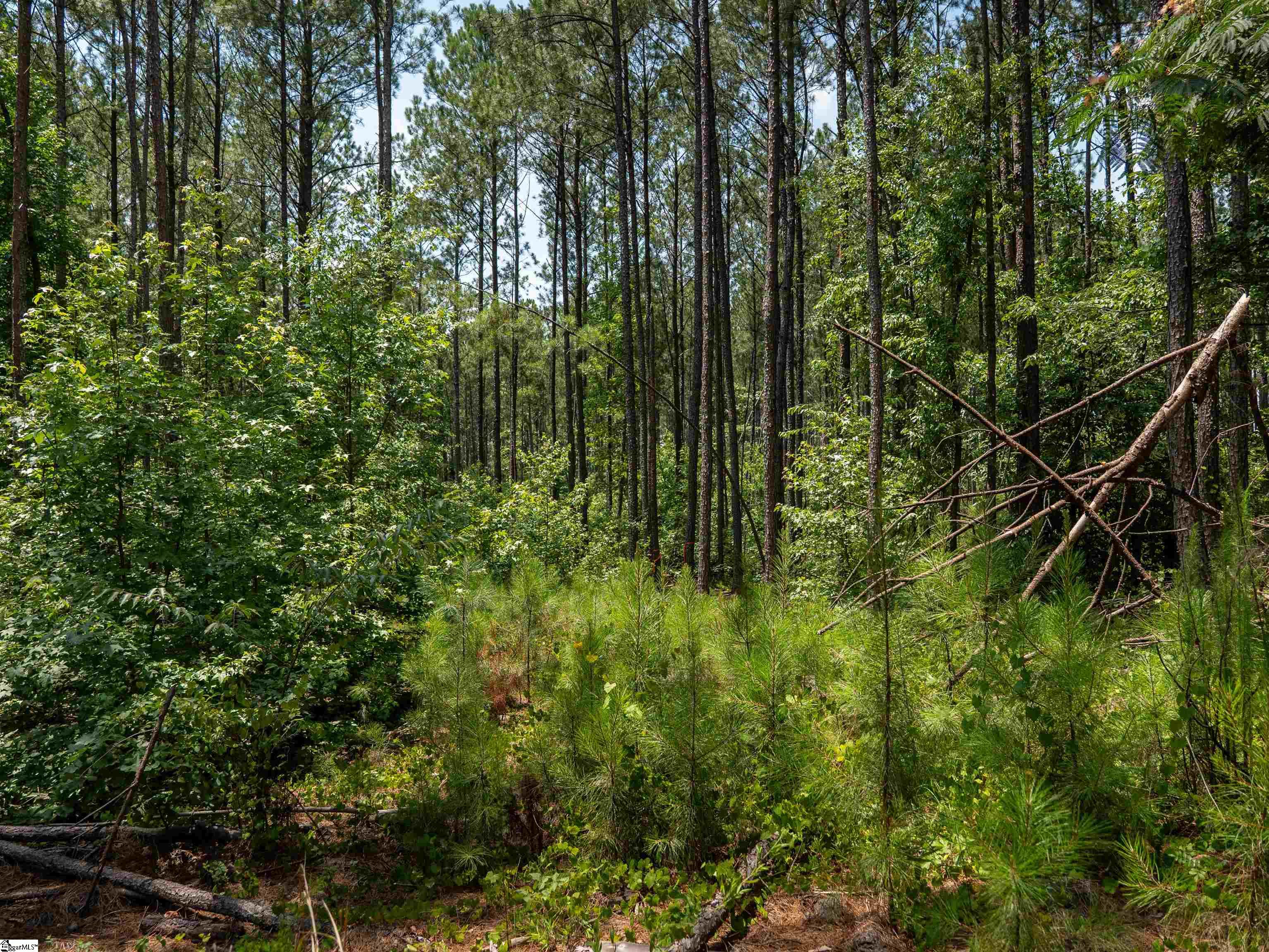 0 Cheek Road, Unit LOT 10 Gray Court, SC 29645 - Photo 16 of 21 Gallery Image 16