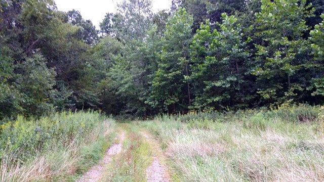 166 County Road Auxvasse, MO 65231 - Photo 3 of 27