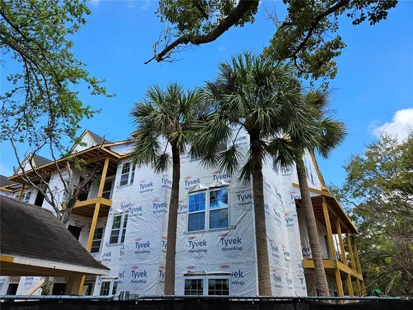 front view of a house with a palm tree