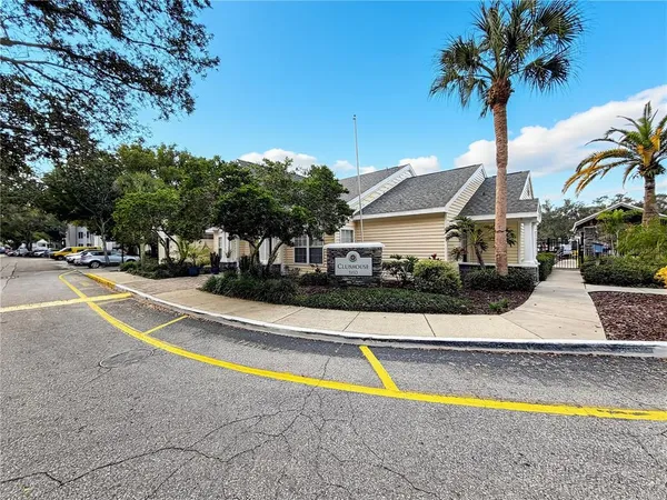a view of swimming pool with lawn chairs and palm tree