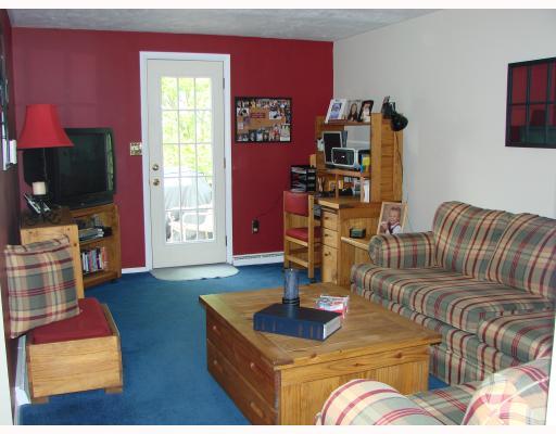 656 Blue Ridge Road Plum, PA 15239 - Photo 5 of 18 Den/Family/Great Room.
