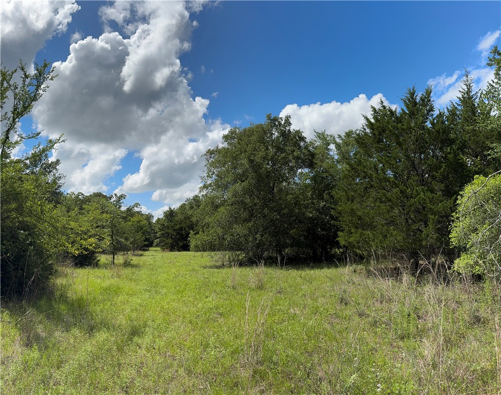 Tbd Pin Oak Road Franklin, TX 77856 - Photo 2 of 11 7.5 Ac Meadow Pic