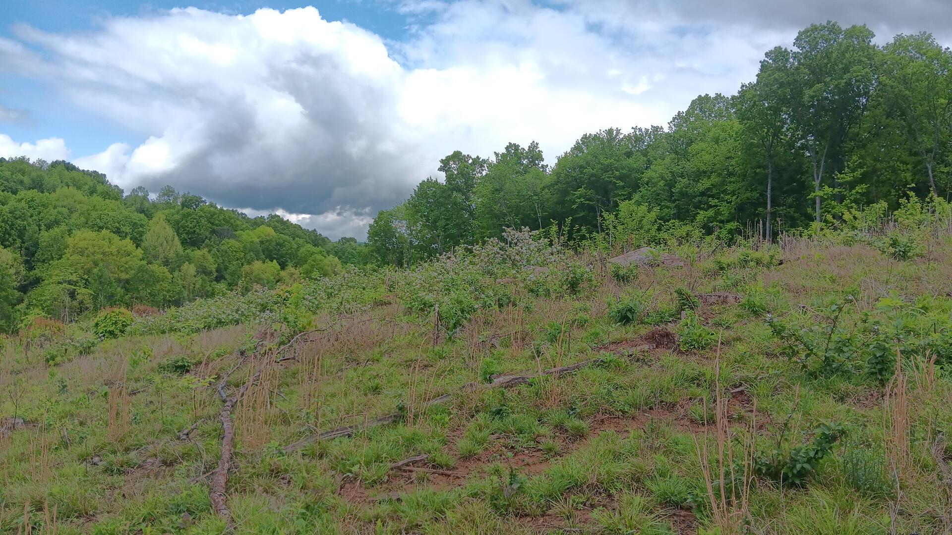 0 Hampton Hollow Road, Unit 7 ACRE TRACT) Langsville, OH 45741 - Photo 47 of 55