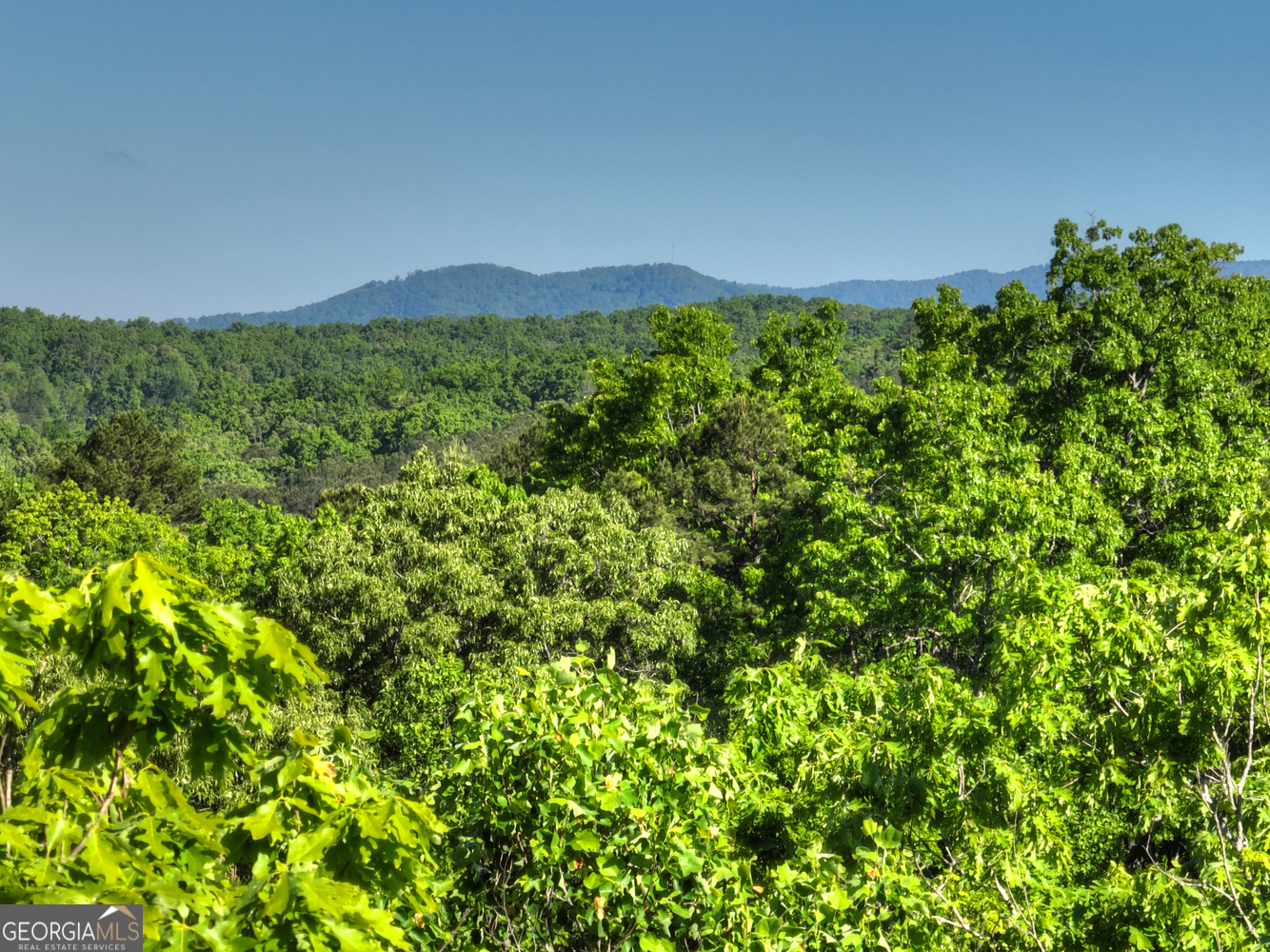 Lot 41 Ridge Drive Morganton, GA 30560 - Photo 22 of 34