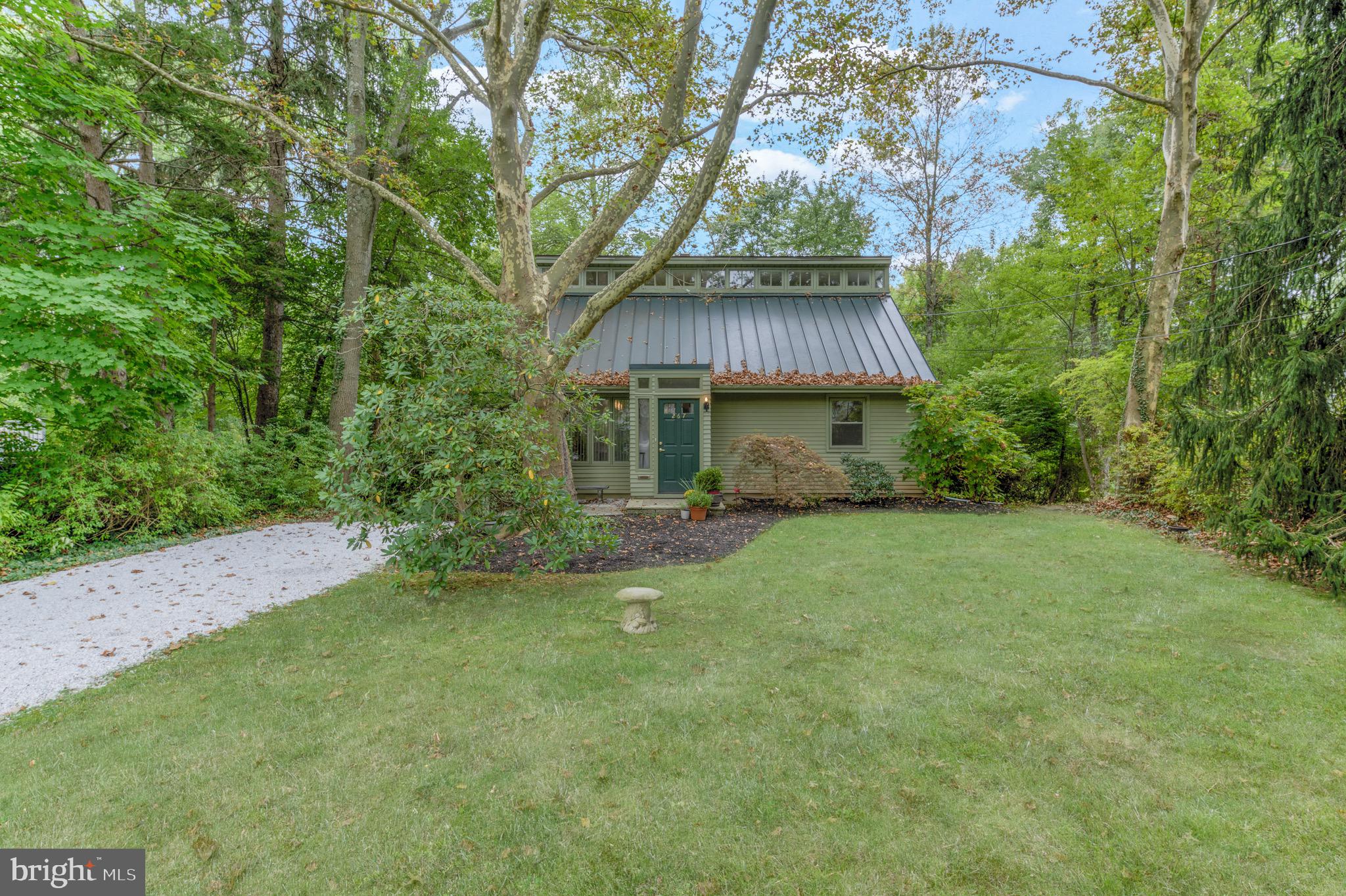 267 Hamilton Avenue Princeton, NJ 08540 - Photo 1 of 39 a view of a big yard with plants and a large tree