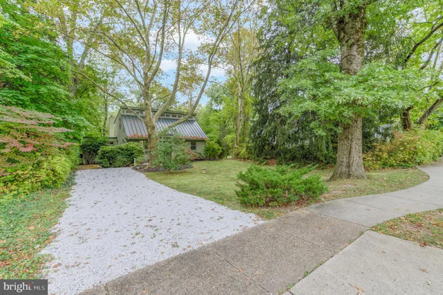 a view of a yard with plants and trees