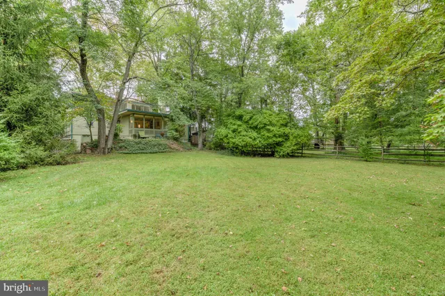 a view of a yard with a trees