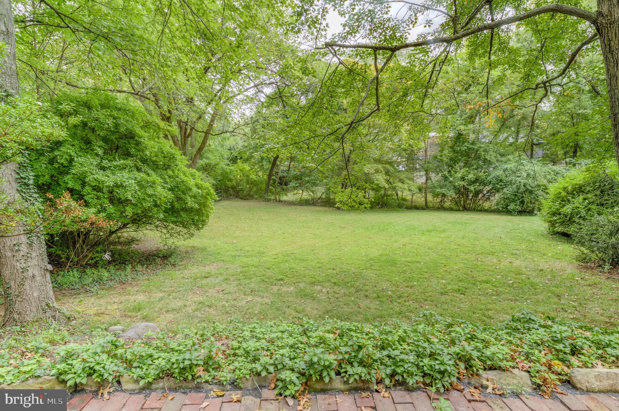 267 Hamilton Avenue Princeton, NJ 08540 - Photo 37 of 39 a view of a big yard with plants and large trees