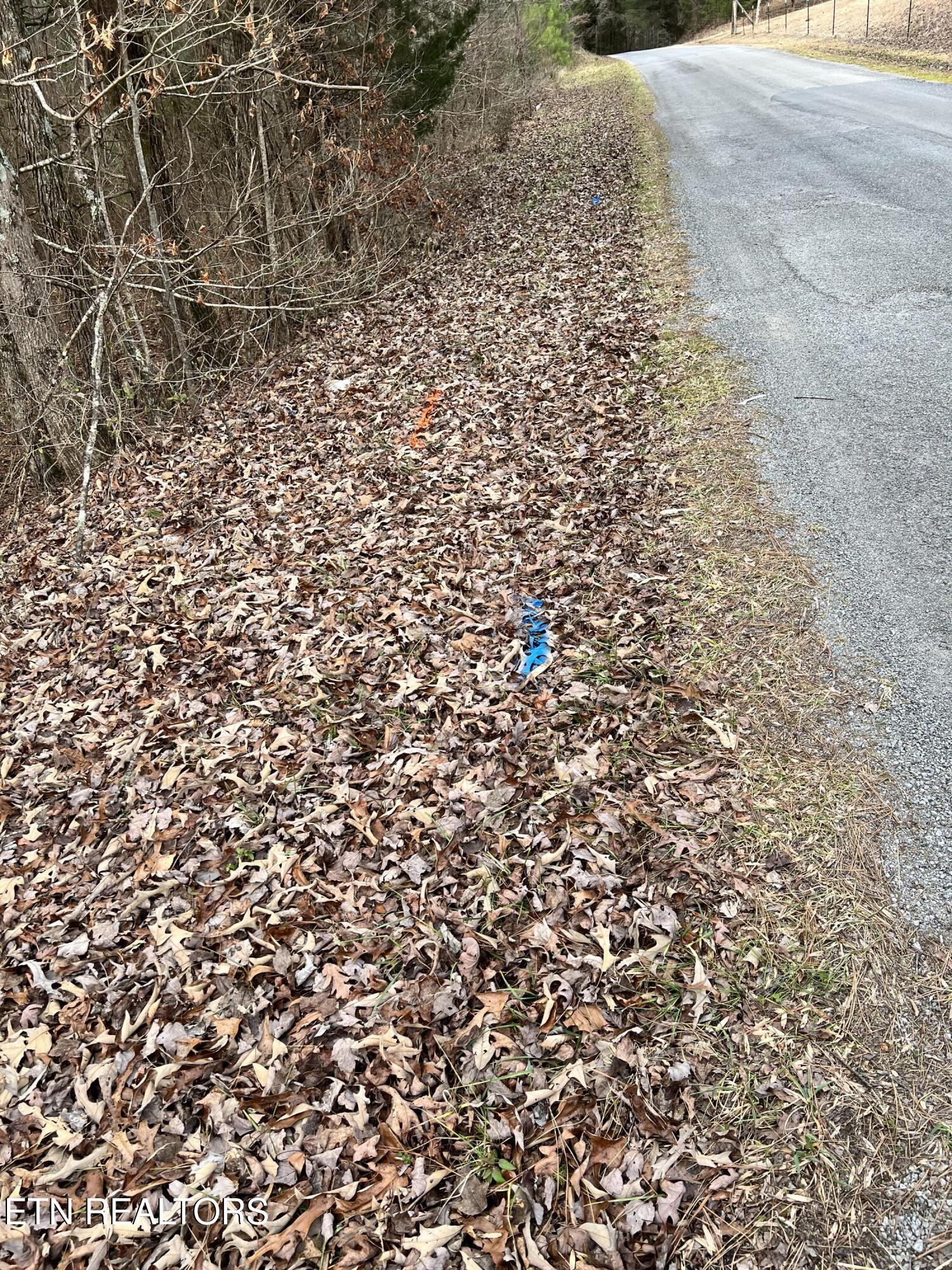 450 Butler Road Decatur, TN 37322 - Photo 3 of 7 IMG_2648