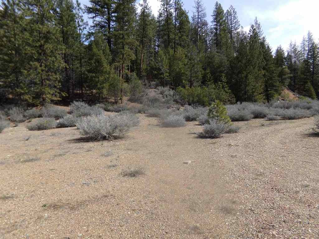 0 Mcadams Ck Road Fort Jones, CA 96032 - Photo 4 of 9 Gallery Image 4