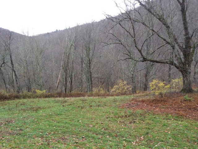 0 Hamilton Hollow Road, Unit CLARK LOT Sandgate, VT 05250 - Photo 1 of 1 Gallery Image 1