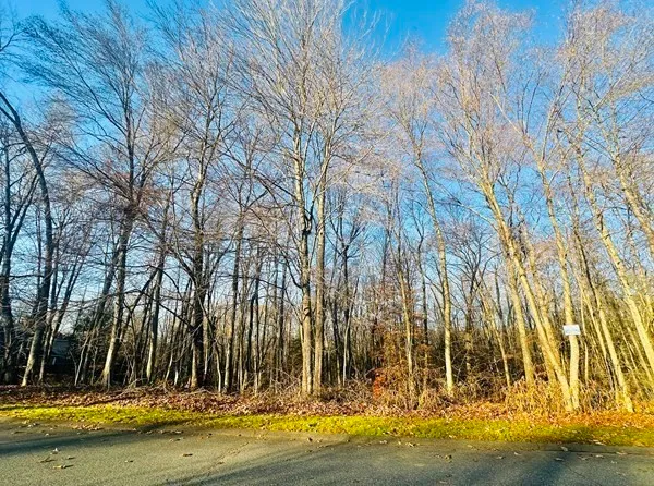 a view of swimming pool with lawn chairs and plants