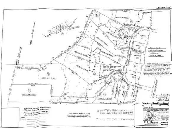 a black and white photo of a painting