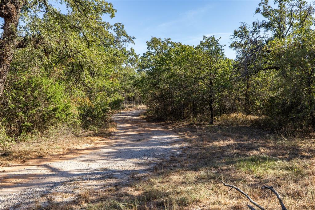 1775 Sunset Mountain Road Lipan, TX 76462 - Photo 33 of 34 a view of a yard with plants and trees