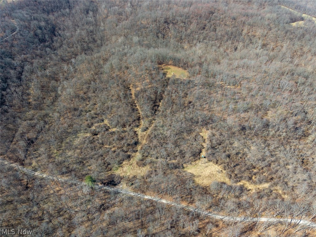 0 Clem Garvin Road Caldwell, OH 43724 - Photo 11 of 50 Aerial view of a forest