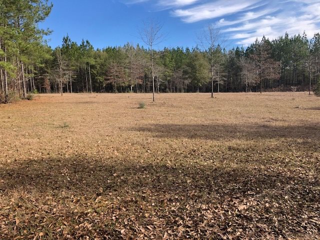 12291 Maytower Road Stockton, AL 36579 - Photo 1 of 6