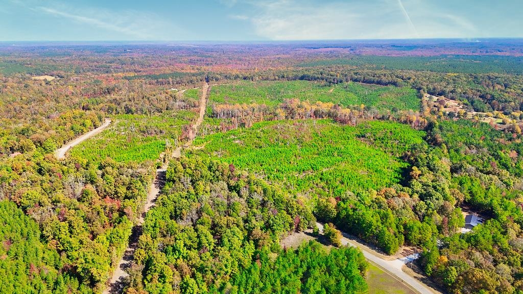 5 Ferrell Road Middleton, TN 38052 - Photo 1 of 14 Aerial view