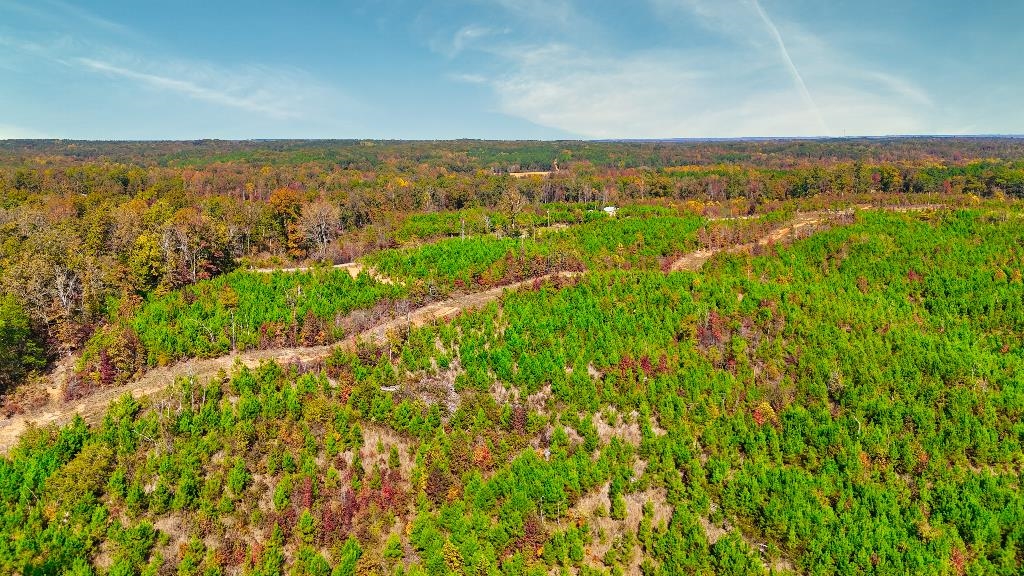 5 Ferrell Road Middleton, TN 38052 - Photo 11 of 14 Birds eye view of property