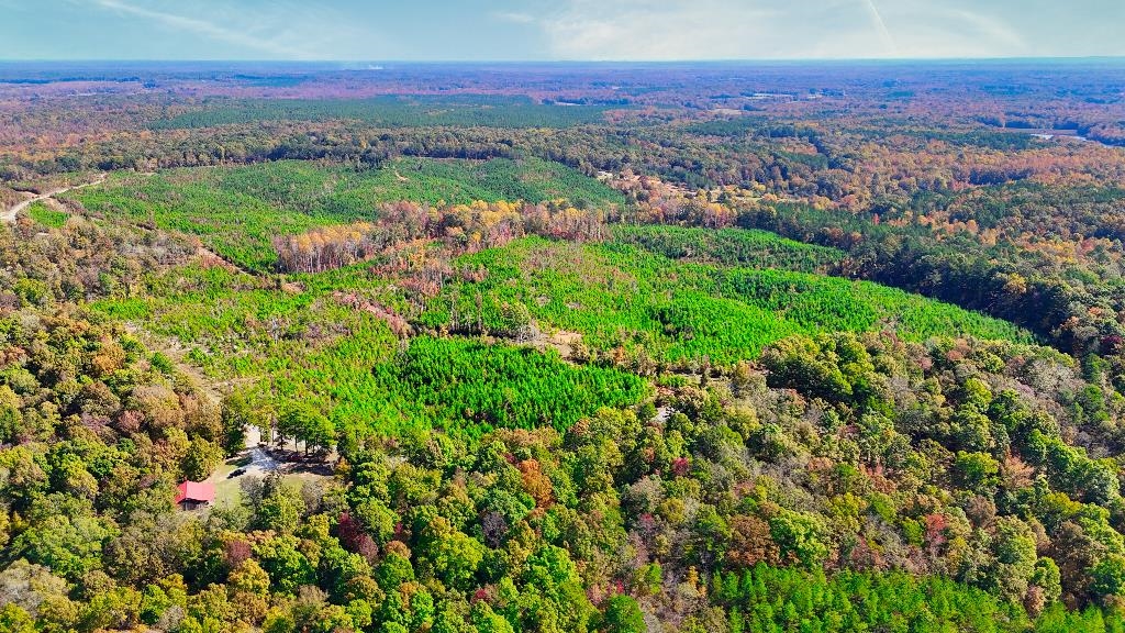 5 Ferrell Road Middleton, TN 38052 - Photo 3 of 14 Aerial view