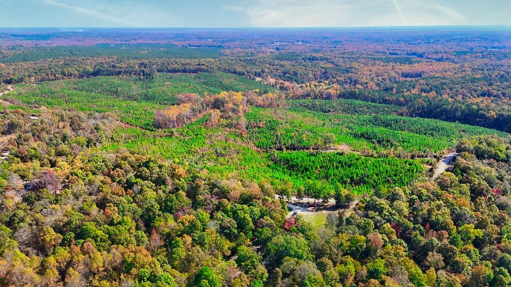 5 Ferrell Road Middleton, TN 38052 - Photo 4 of 14 Drone / aerial view