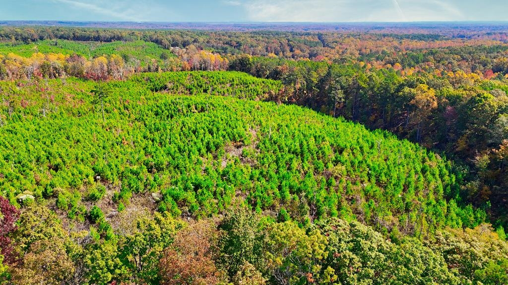 5 Ferrell Road Middleton, TN 38052 - Photo 5 of 14 Birds eye view of property