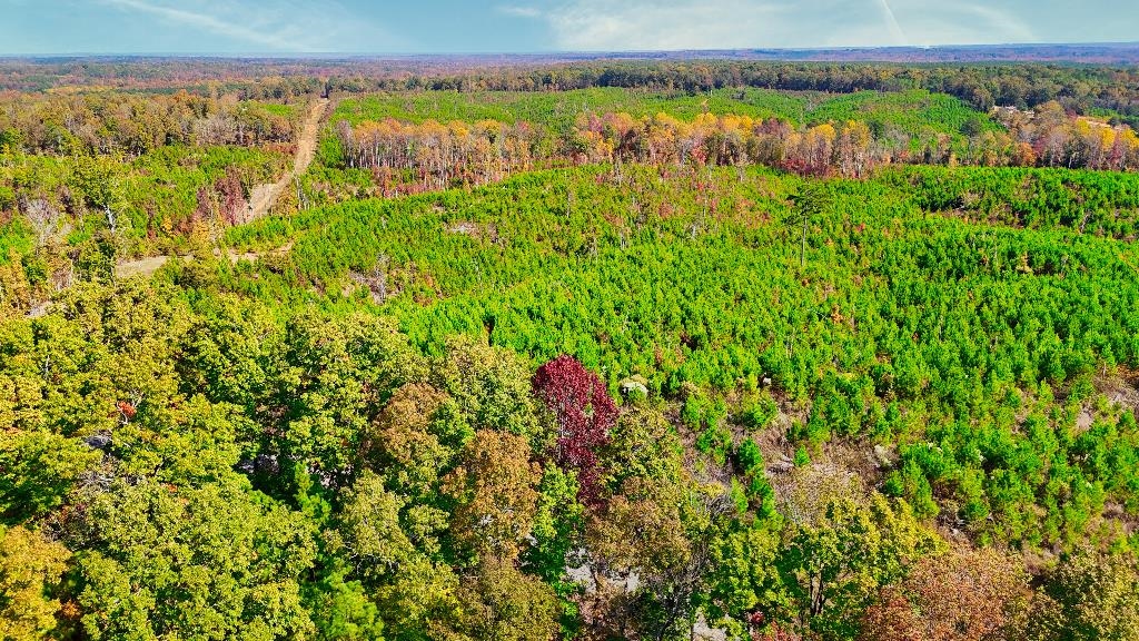 5 Ferrell Road Middleton, TN 38052 - Photo 6 of 14 Drone / aerial view
